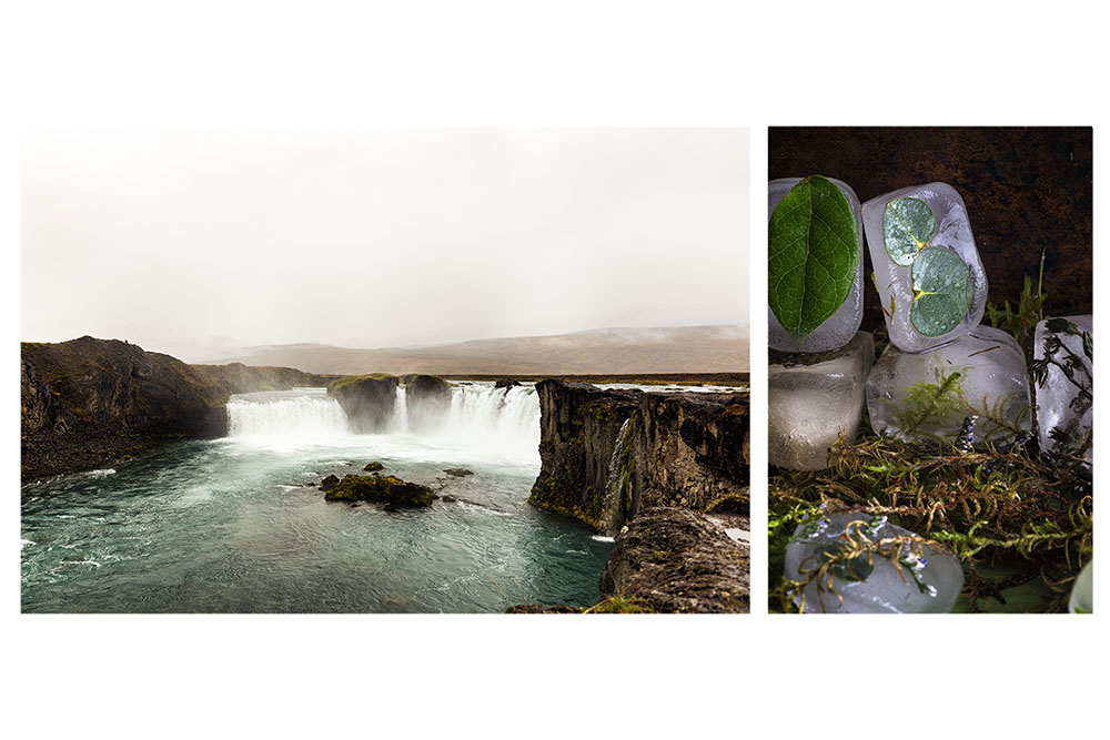 Icelandic foodscapes