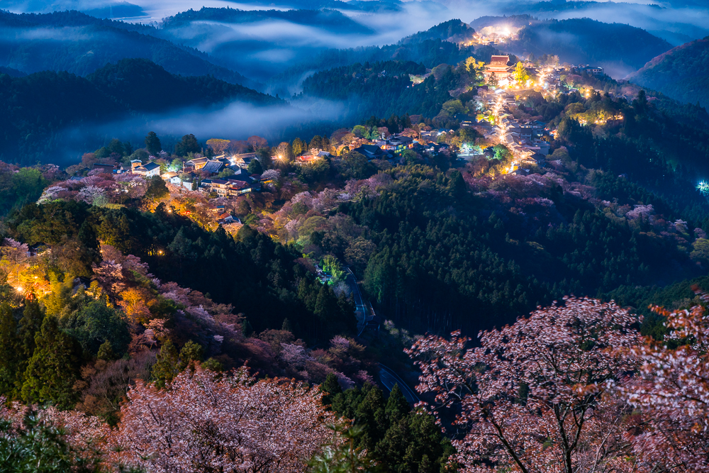 Japanese Nightscapes