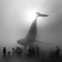 The Space Whale - Burning Man