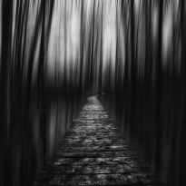 Path through darkness