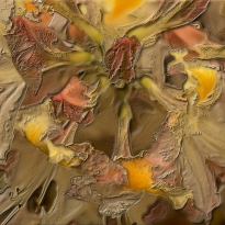Flowers in 3D