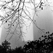 Foggy Day New York, The Majestic