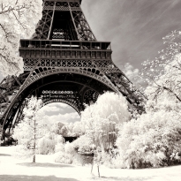 Paris Winter White