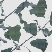 Glass leaves