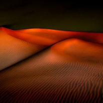 Desert Nocturnes