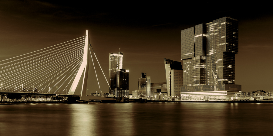 Rotterdam Rising