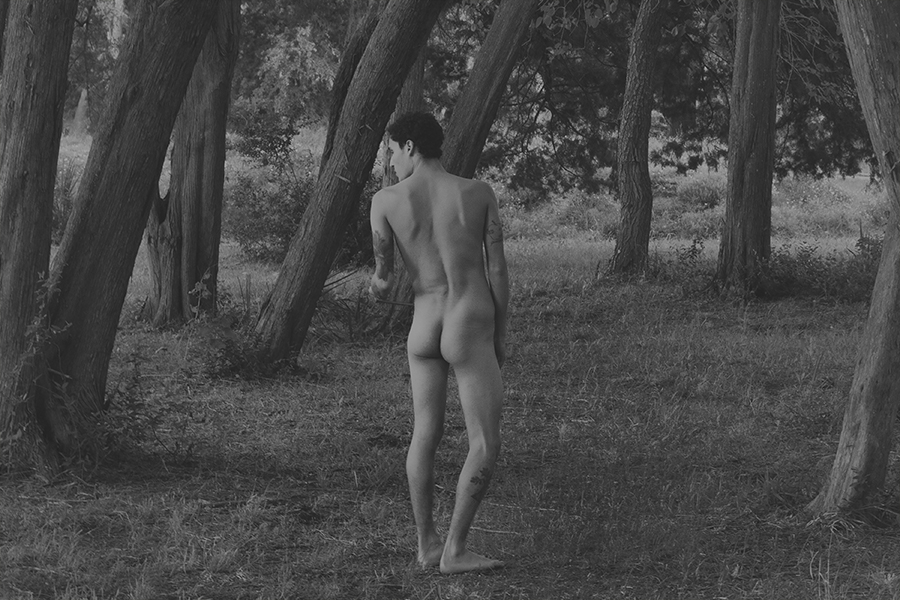 The nude in landscape 