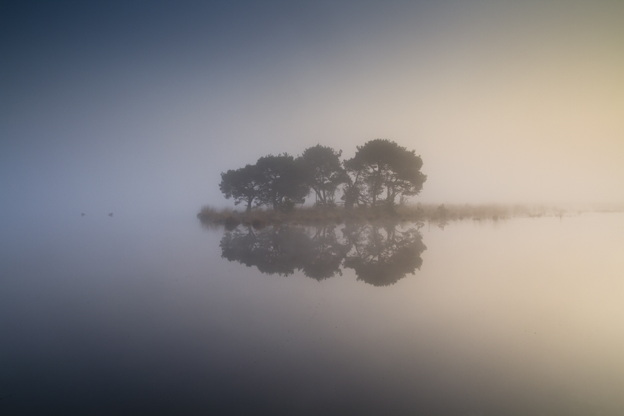 Mystical fens of Nothern Brabant (Province of the Netherlands)