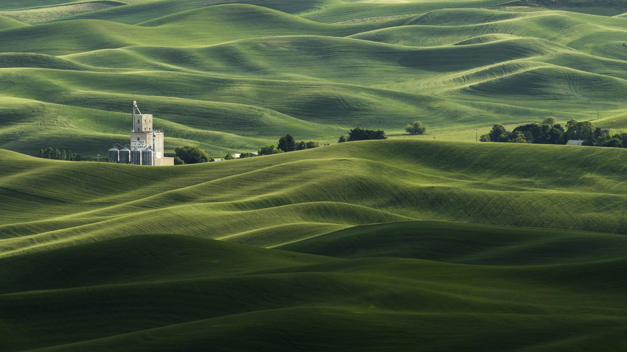 The Rolling Fields of Palouse