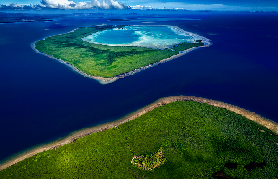 Pacific island reefs and mangroves 