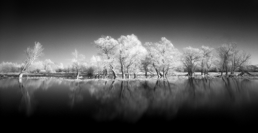 Reflections, Narew river, Poland