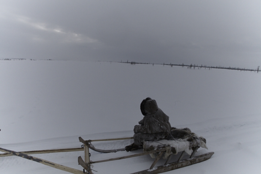 Yamal, the edge of the world