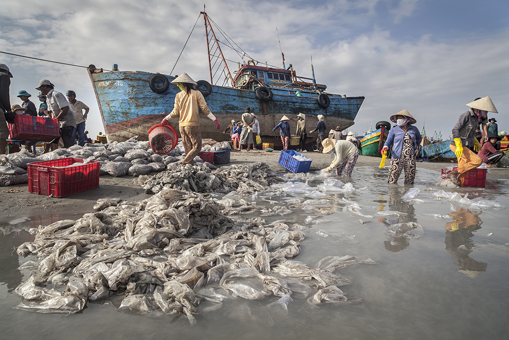 OVERFISHED OCEANS, THE PATH TOWARDS SELF-DESTRUCTION