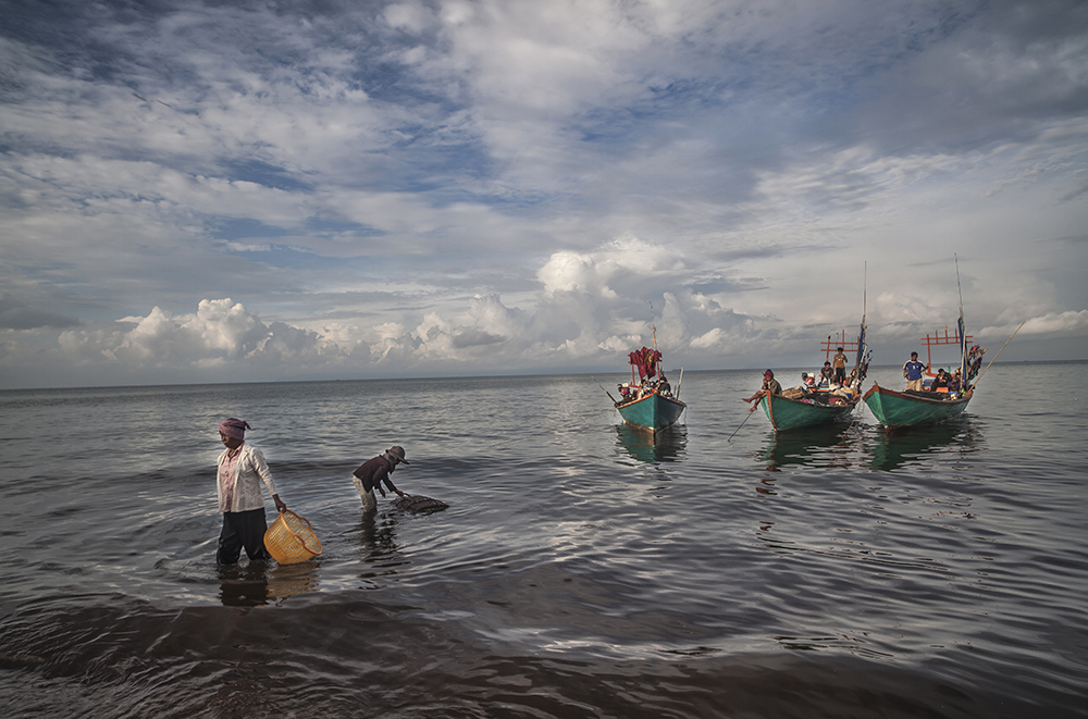 OVERFISHED OCEANS, THE PATH TOWARDS SELF-DESTRUCTION