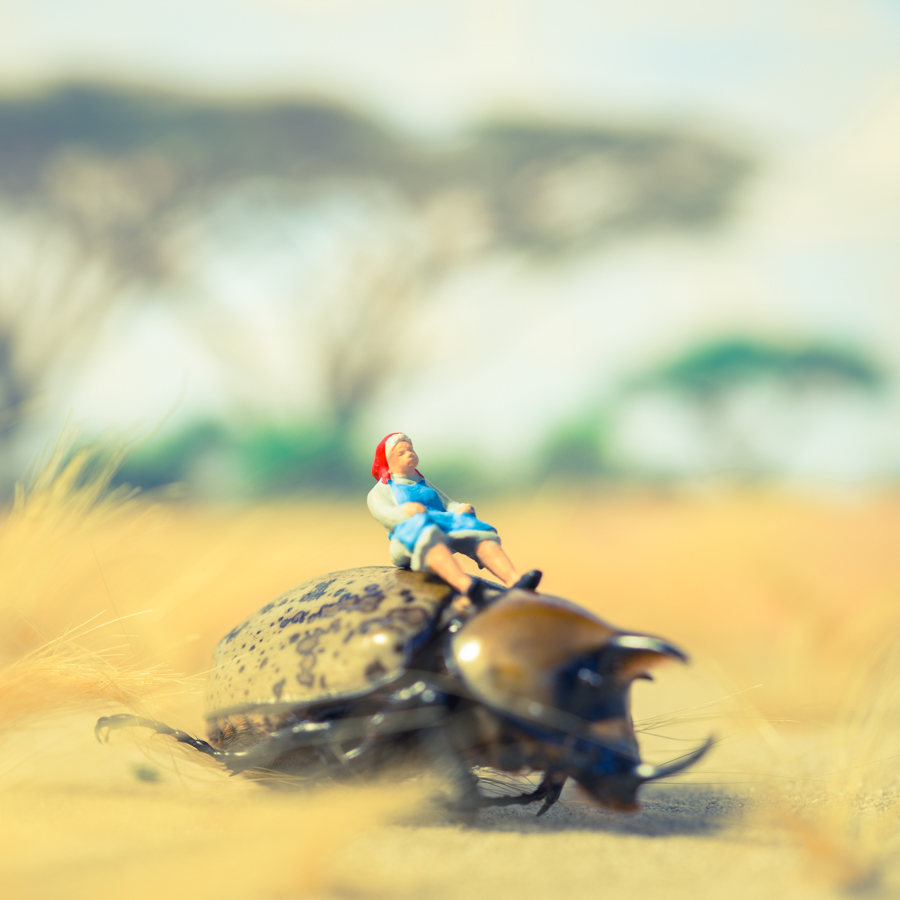 Small Encounters—Bug Transport