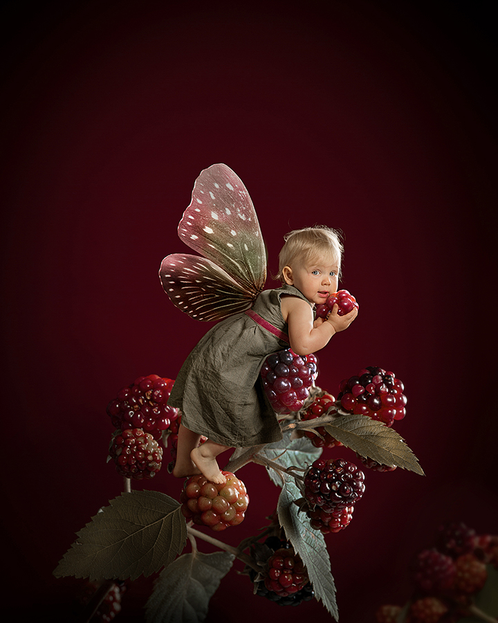 The Berry Fairy
