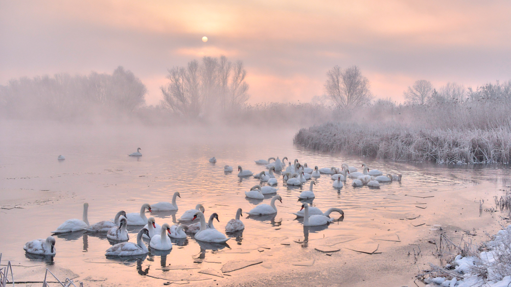 Coral lake