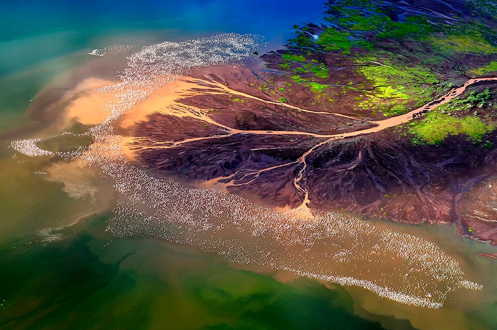 Kenya - Lake Bogoria