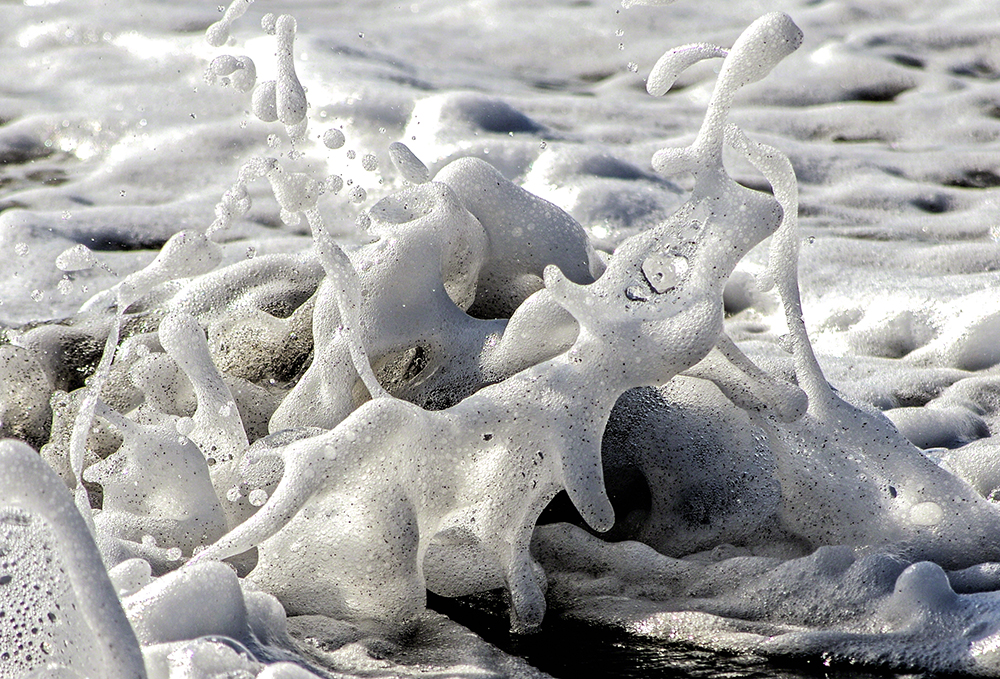 Natural Foam Sculptures