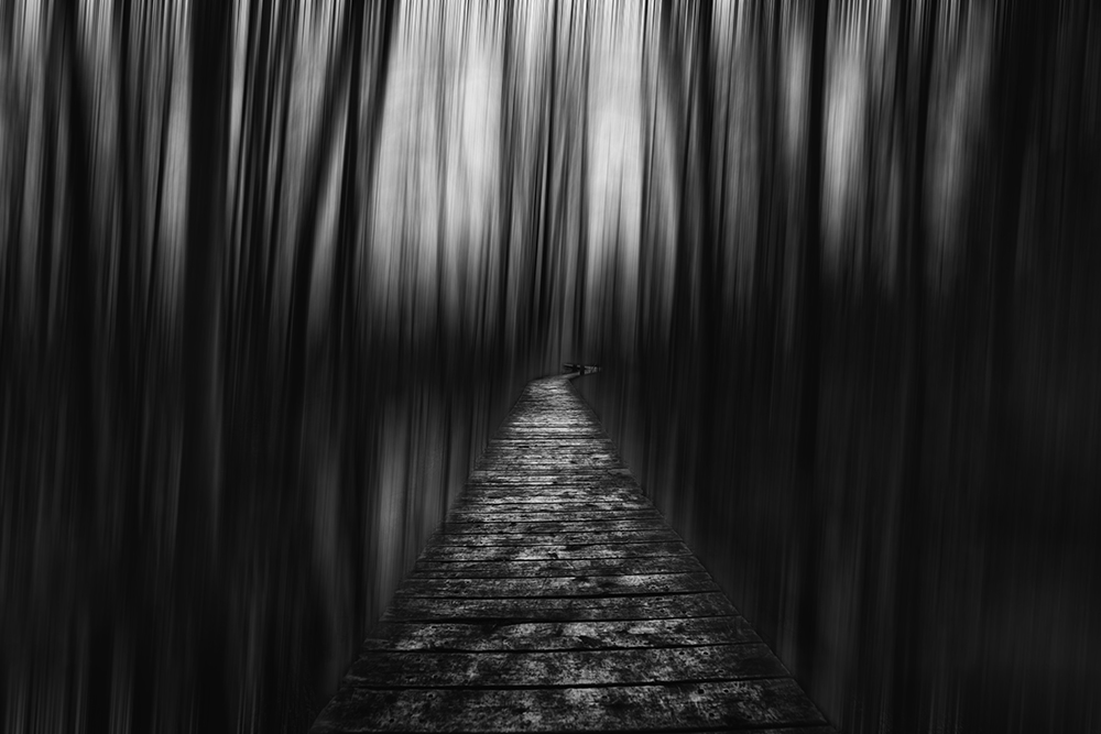 Path through darkness