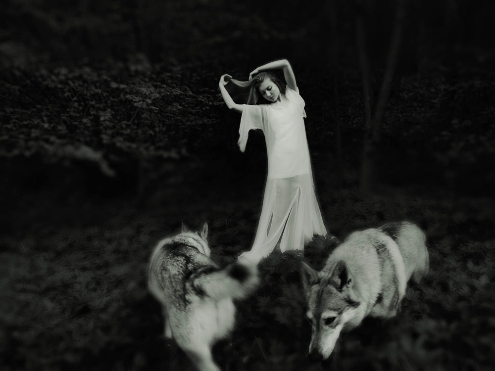 Iulia and wolves           