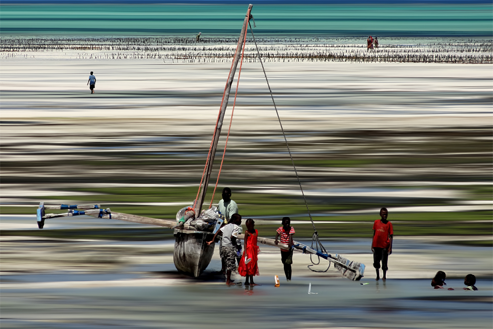 Scenes of life of a beach in Zanzibar.