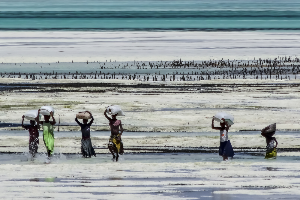 Scenes of life of a beach in Zanzibar.