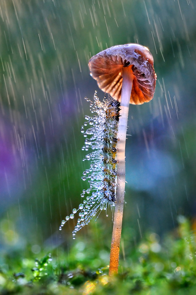 under umbrella