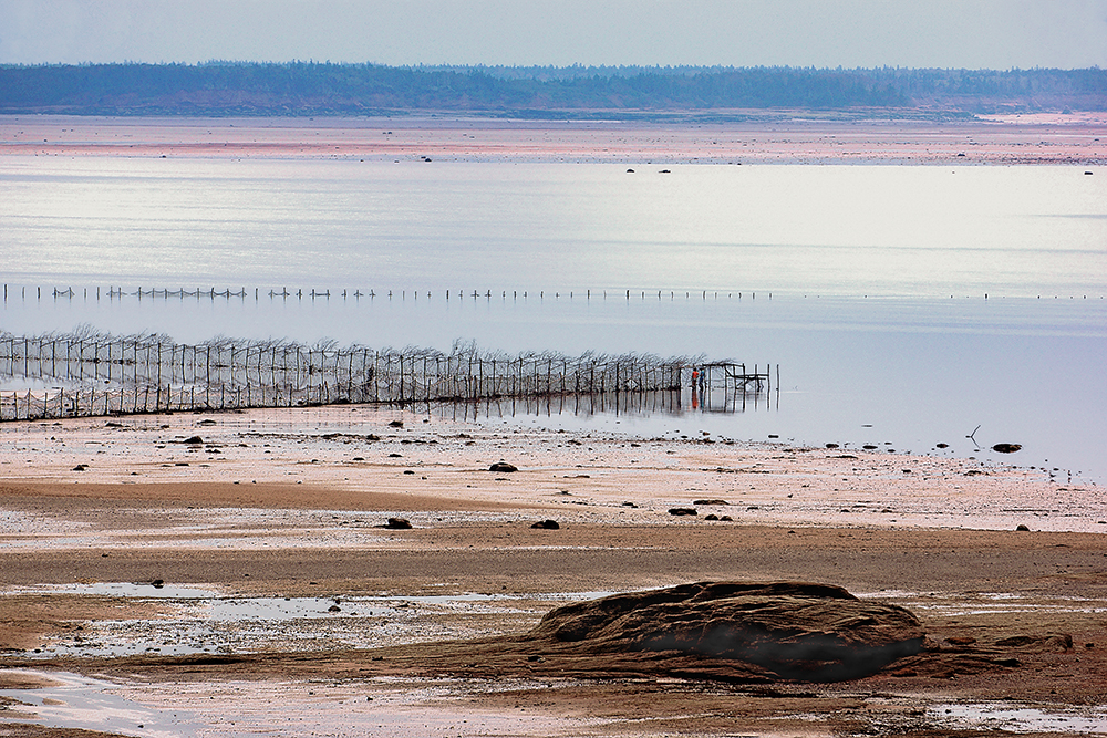 Checking The Fishing Weir