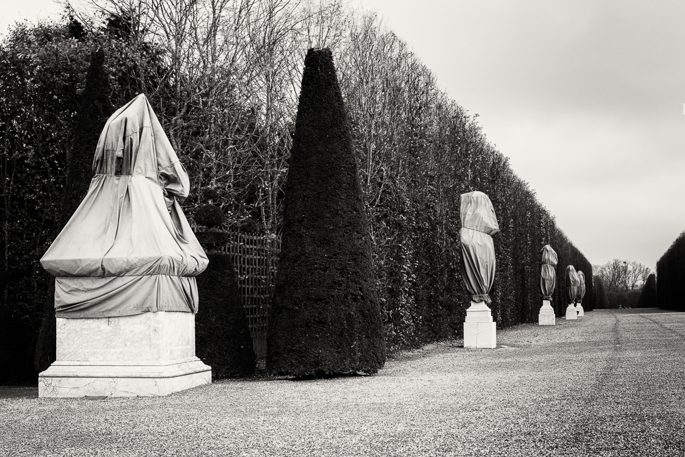 Serenity in the gardens of Versailles