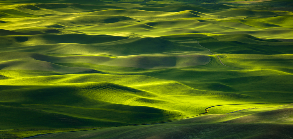 waves of green 