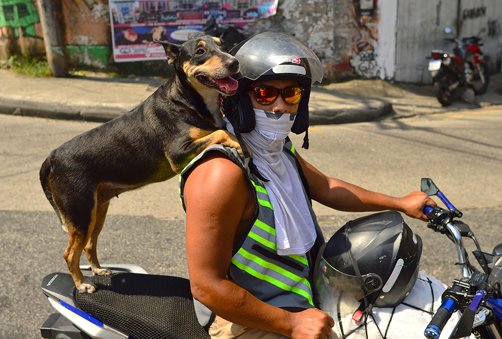 Punching Life Back in Rio