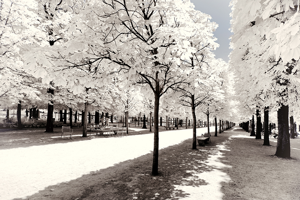 Paris Winter White