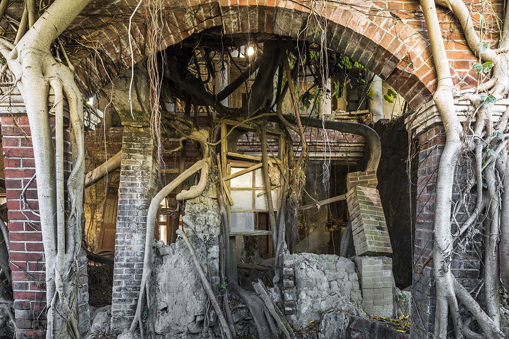 Naturalia: Chronicle of Contemporary Ruins