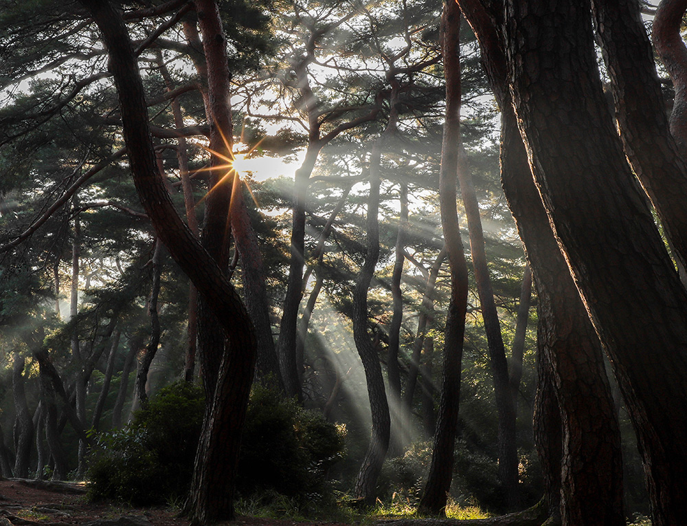 Landscapes in South Korea