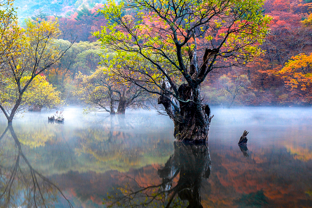 Landscapes in South Korea