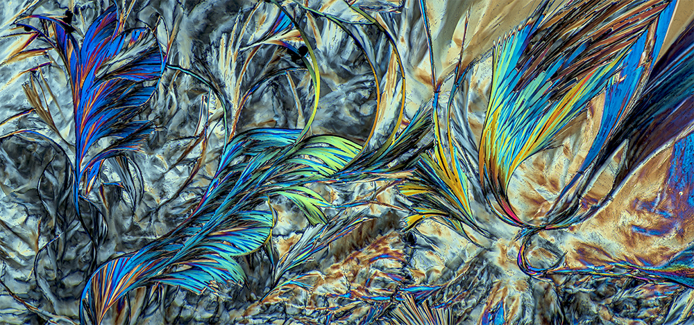 Insights into the hidden world of microcrystals in polarized light.