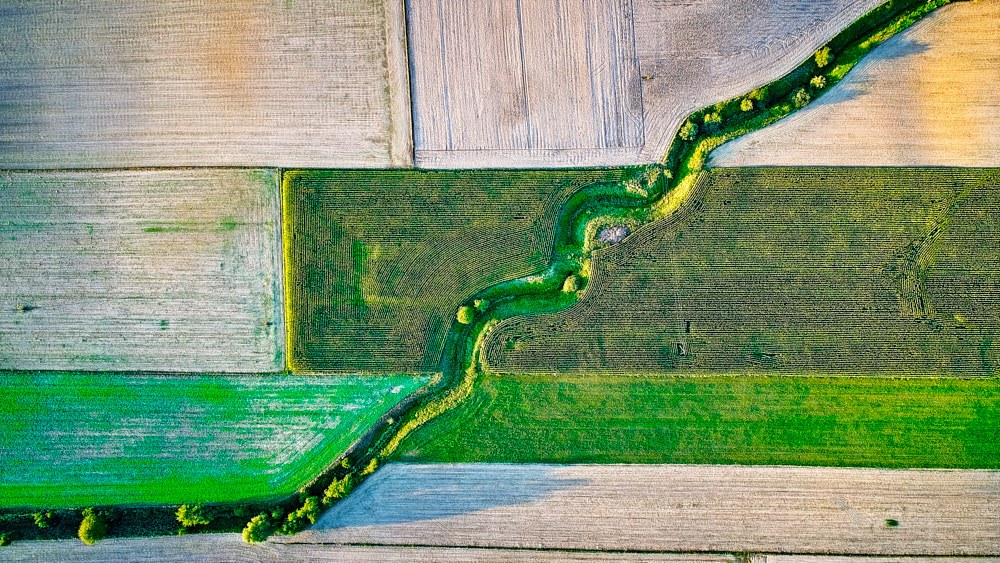 A small river among fields