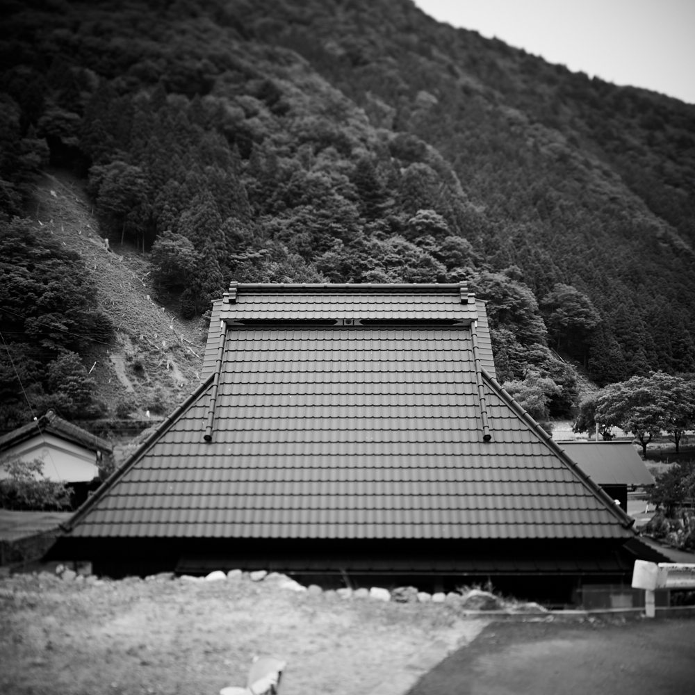 The roof of Japanese architecture as a symbol