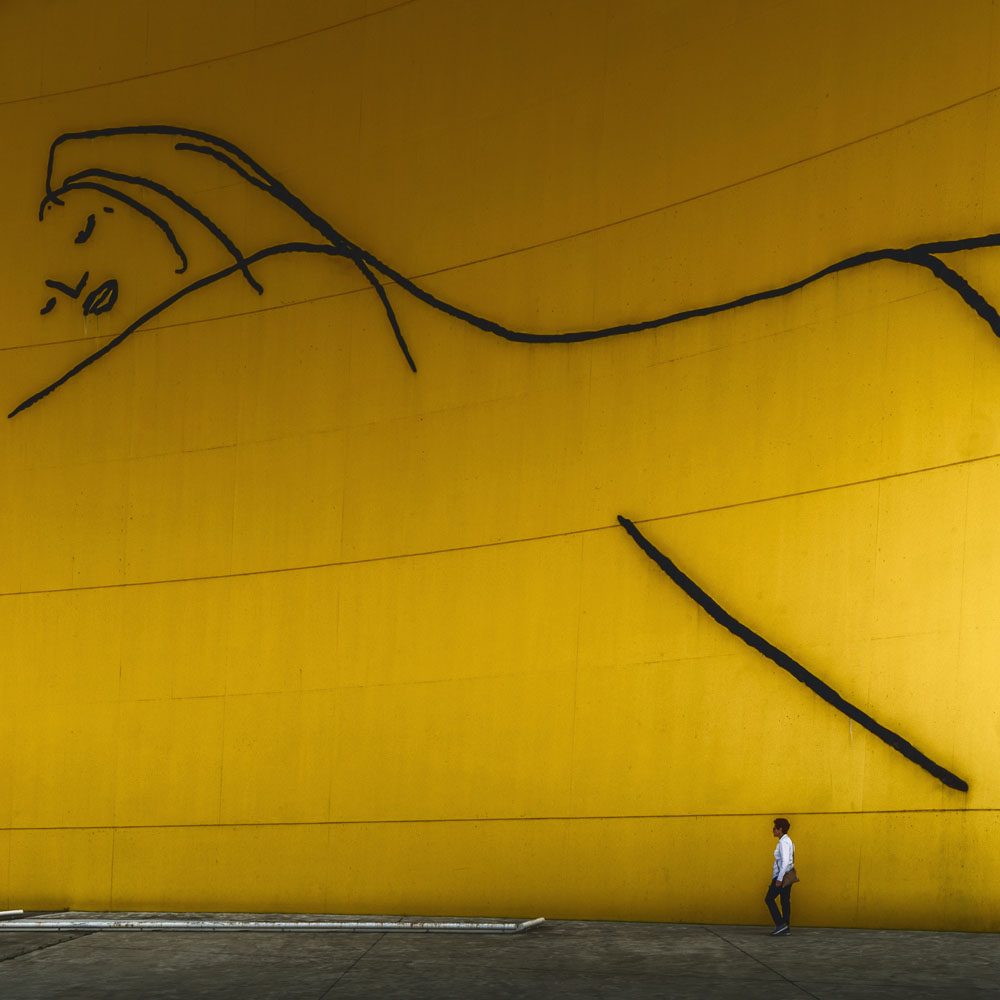 Visita al Niemeyer