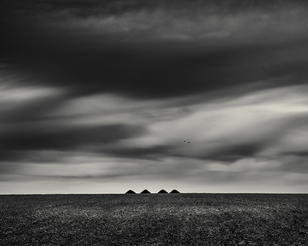 Paysages de Vendée