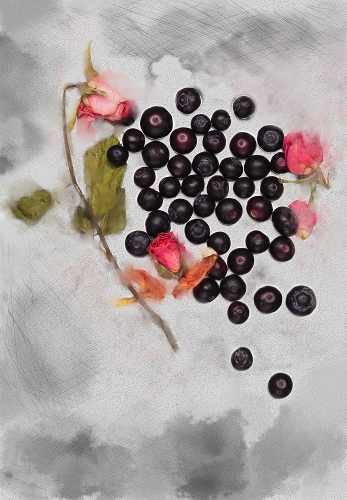 Blueberries and Roses