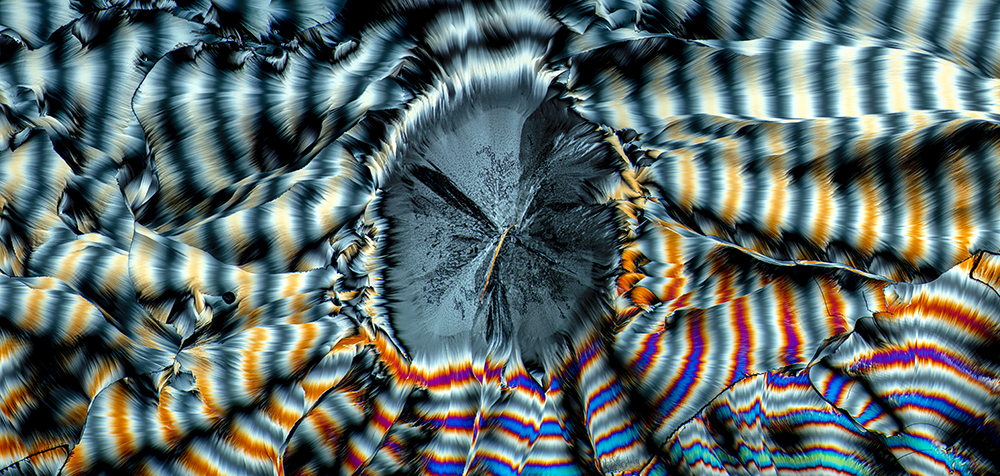 Glutamic acid, insights into the hidden world of microcrystals in polarized light.