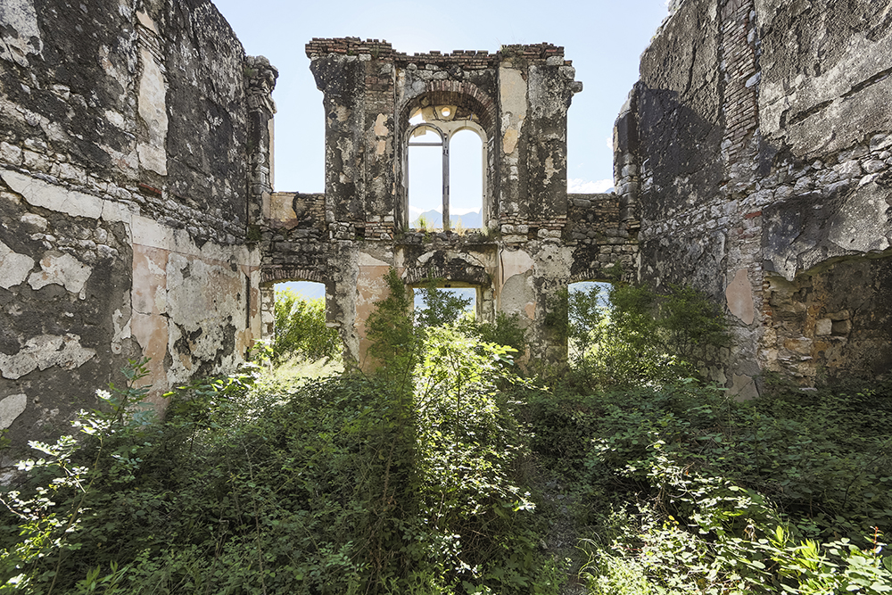 Naturalia: Chronicle of Contemporary Ruins