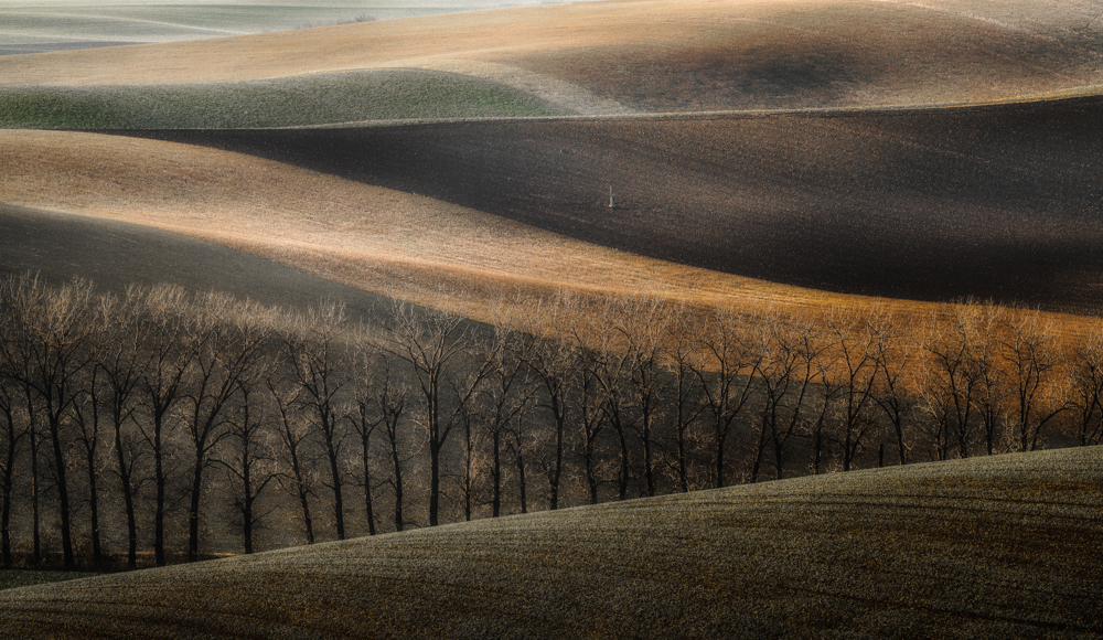 Tuscany Lines