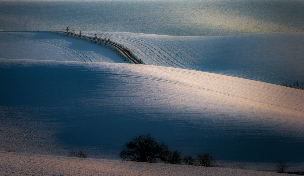 Tuscany Lines