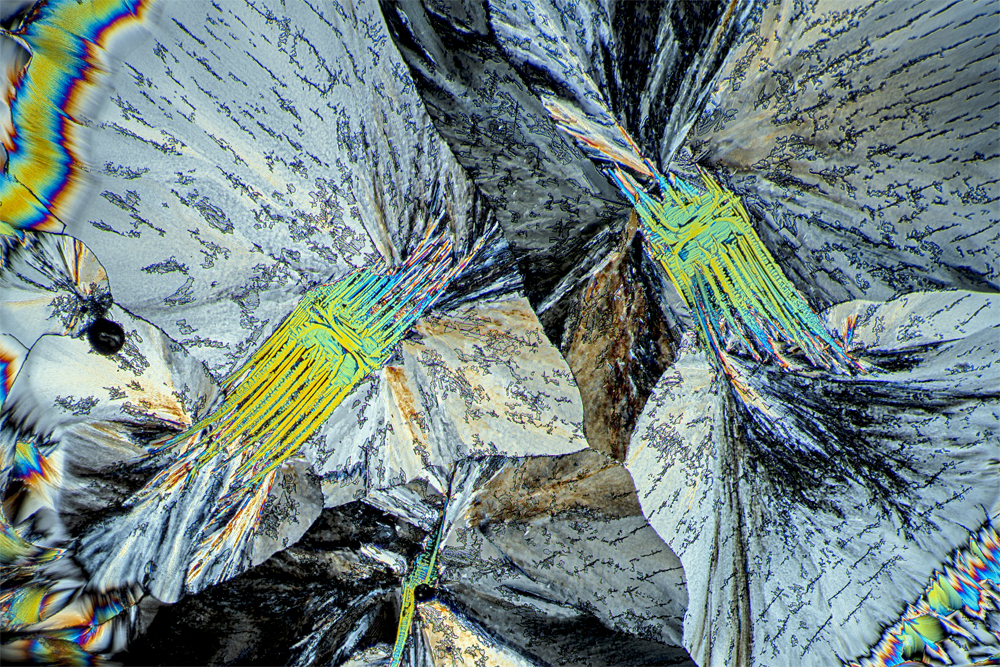 Glutamic acid, insights into the hidden world of microcrystals in polarized light.