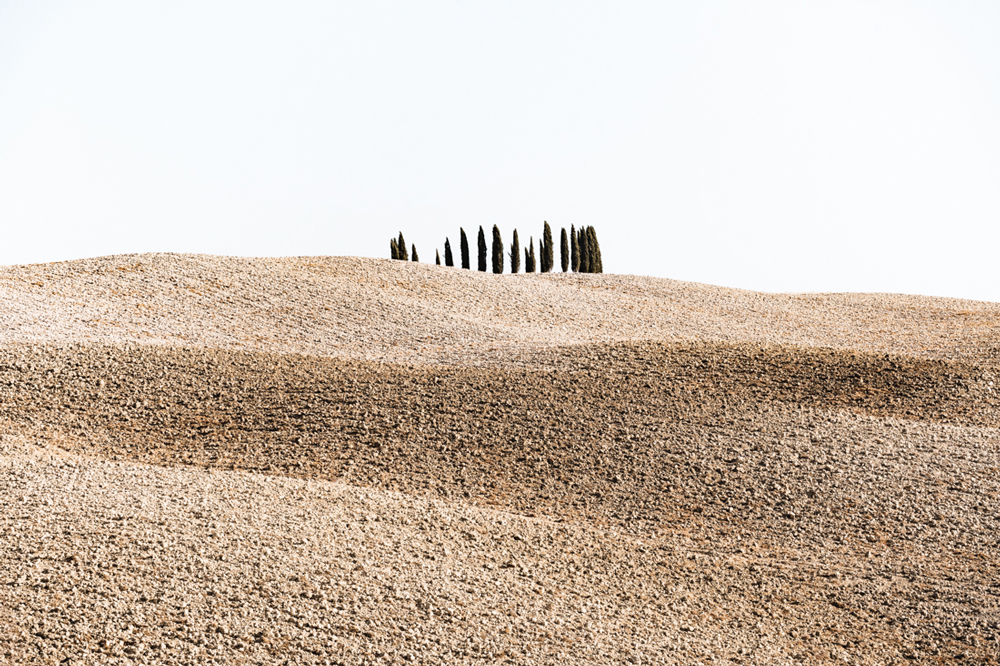 The Italian Desert Series 