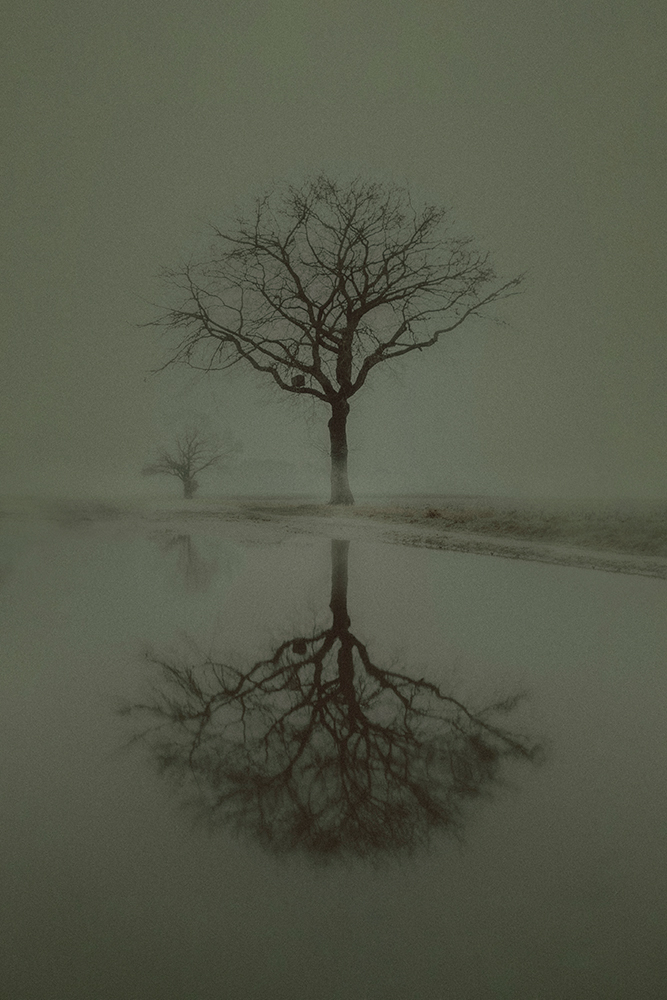 Cold reflection