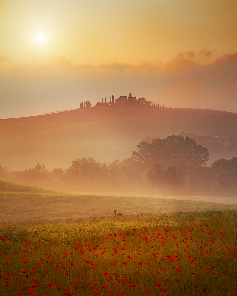 The magic of the Tuscan light
